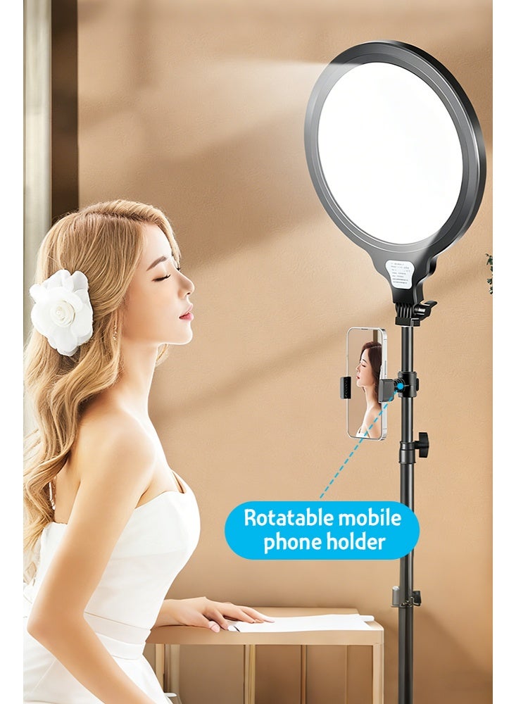26cm LED Ring Light with 210cm Adjustable Floor Stand, Selfie Light with Phone Holder, 3 Color Modes & Dimmable Brightness, Makeup Live Streaming Photography Lamp